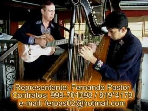 los principes del paraguay musica de arpa internacional  contratos