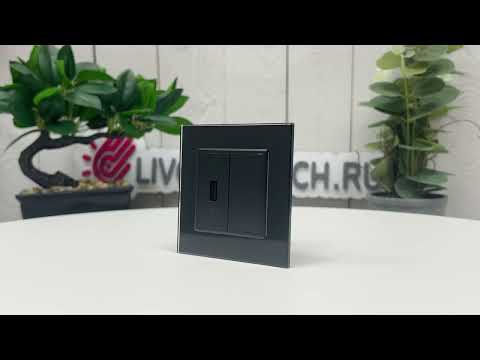 Розетка USB с блоком питания 2.1А 5В Livolo, цвет черный (механизм) BB-C7-1USB-12