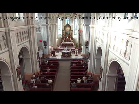 JKS 298 - Vitaj, spása duší (ein eucharistisches Lied)