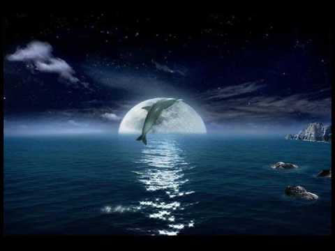 ♥ Oliver Dragojevic - Plemenita ♥