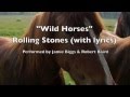 "Wild Horses" Rolling Stones (with lyrics ...