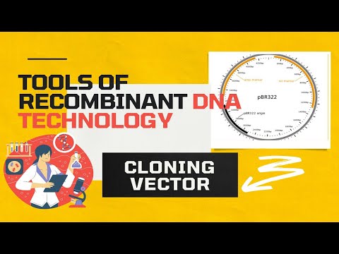Tools of recombinant DNA technology has been explained in this video with  Animation This video includes better explaination of cloning vector. It  will be helpful for those in search of easy explanation