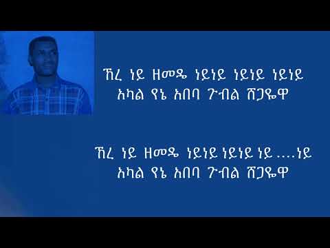 Endale  Abate   Tewegn  tiztaye   ተወኝ  ትዝታዬ   Lyrics Video   ethiopian music