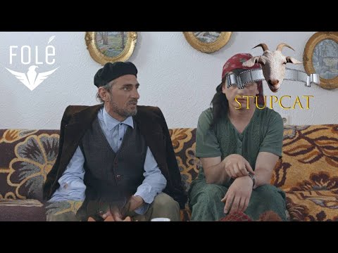 Stupcat "Vera 2016" - Pitushi