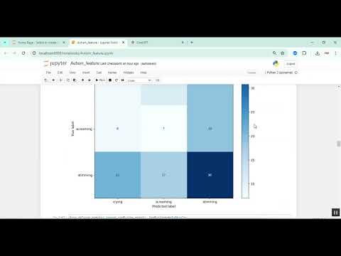 Autism Future Classiciation using Video in Python Projects