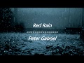 Peter Gabriel - Red Rain (Lyrics)
