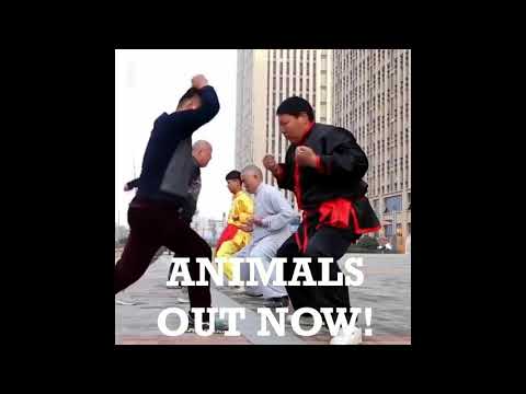 Animals - Promo Video - Electro House - Kung Fu Fools Martial Arts