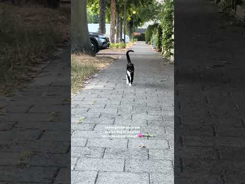 maakt mijn dag elke keer weer 🎀