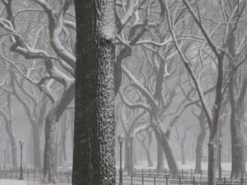 Video thumbnail for It sifts from Leaden Sieves - (311)