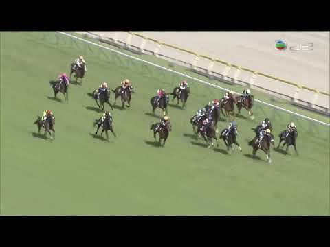 日本橡樹平淡變精采　全靠唯獨愛你