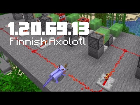 Rare Finnish Axolotl found in Minecraft!