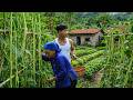 From CEO To A Free Man Living Without Electricity Or Internet I Ve Never Regretted It