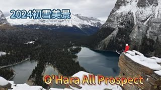 23、赶在2024 Lake O'Hara封山之前的最后一天进山赏金松看雪景。心心念念的Opabin Plateau All Prospect的美景终于如愿以偿。全程20公里山路，回程赶上了班车。