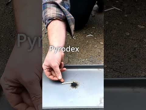 Black Powder vs Pyrodex vs Smokeless Powder #firearmstraining #blackpowder