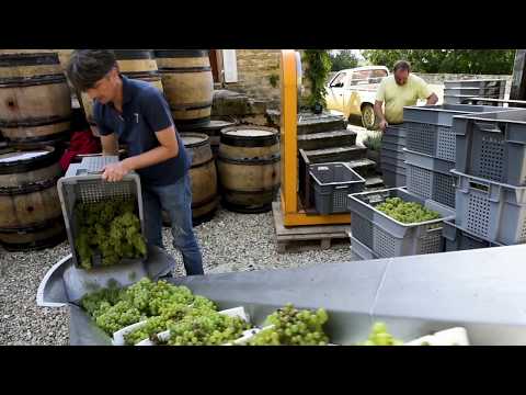 Bande annonce Saint Vincent Tournante Vézelay 2019