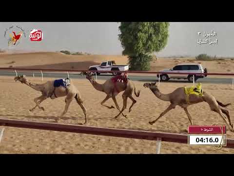  ش 10 (راهي) لـ خلفان هلال عبيد العليلي 9:48 , شارة الديوان 3 2026/10/07 ثنايا اللبسه    