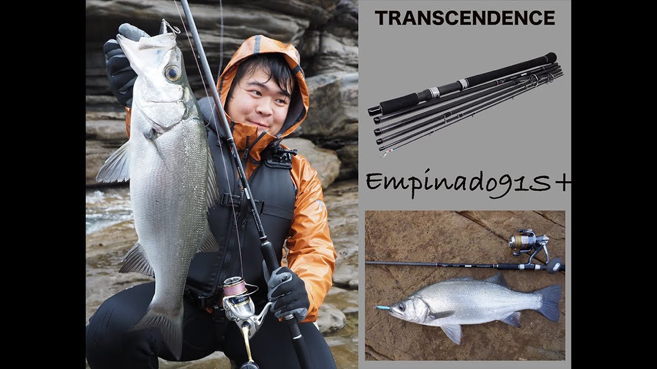 Cần câu TRANSCENDENCE Empinado91S+ Rev2.0