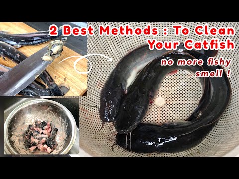 How to clean and prep your catfish do that they don't smell fishy | 2 best methods