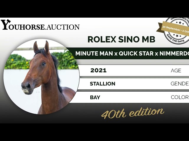 Rolex Sino MB