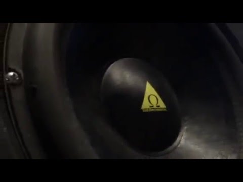 Scientist mixes Eek-a-Mouse/Dubiterian on custom Dub Electronics Inc. monitors