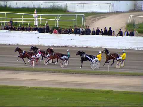 Trotto 01/05/2016 - 2° Corsa Minitrotter