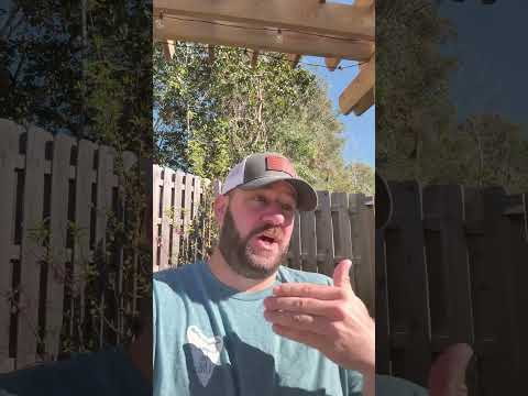 WARNING: Rant Incoming… #shortsfeed #langley #congress #shortsvideo #goa Thumbnail