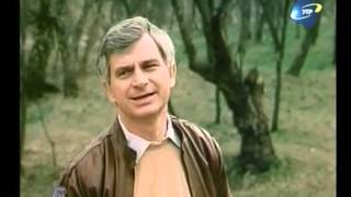 Вечір на дворі - Анатолій Солов