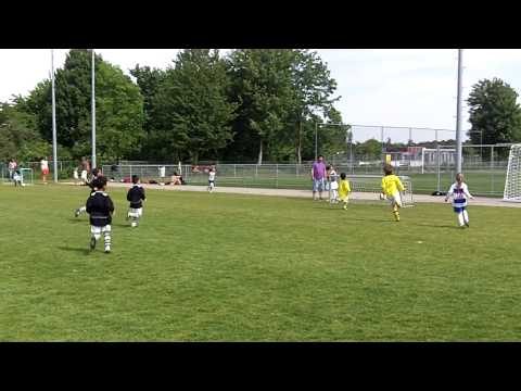 Buitenboys mini's geel tegen zwart