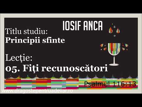 Iosif Anca - Fiți recunoscători (Principii sfinte 5/20)