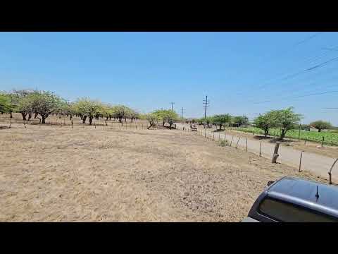 img-video