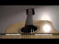 Alvarez MDA70 Video #1