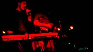 Miniature Tigers - Coyote Enchantment