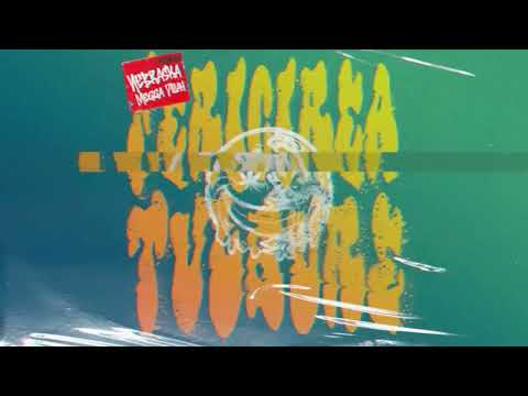 Megga Dillah X Nebraska - Fericirea Tulbure