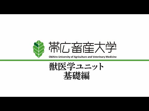 共同獣医学課程説明会② 「獣医学ユニット 基礎編」