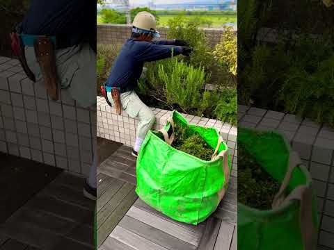 屋外に日本庭園を設置するにはどうすればよいですか？成功するための専門家の 5 つのヒント!  庭園