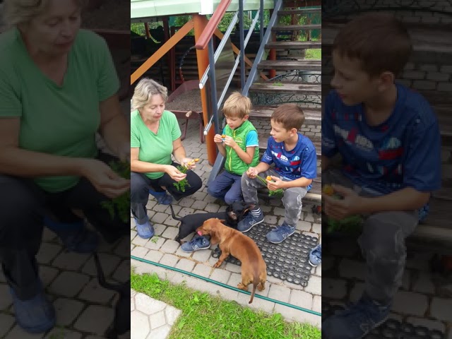 Дегустация моркови Парижская каротель.