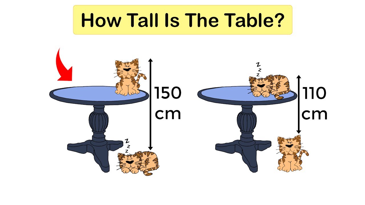 Elementary School in China