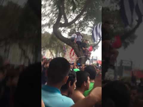 "De esta hinchada yo nunca me voy" Barra: Comando SVR • Club: Alianza Lima