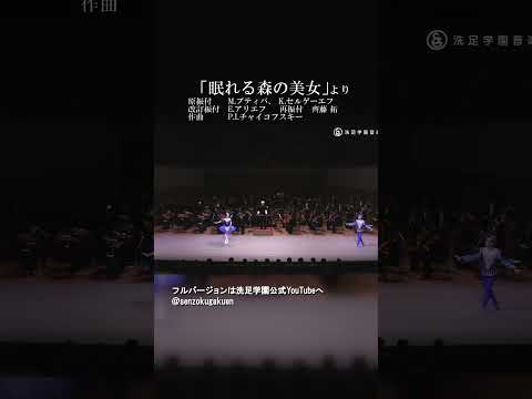 眠れる森の美女 より