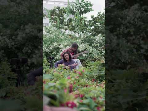 RADITORI - KHUNG CỬA BIẾC (bản trên mái nhà)