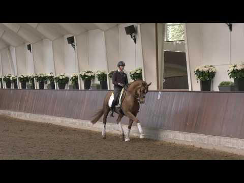 Fabius born 2012 by Foundation/Friedenstraum