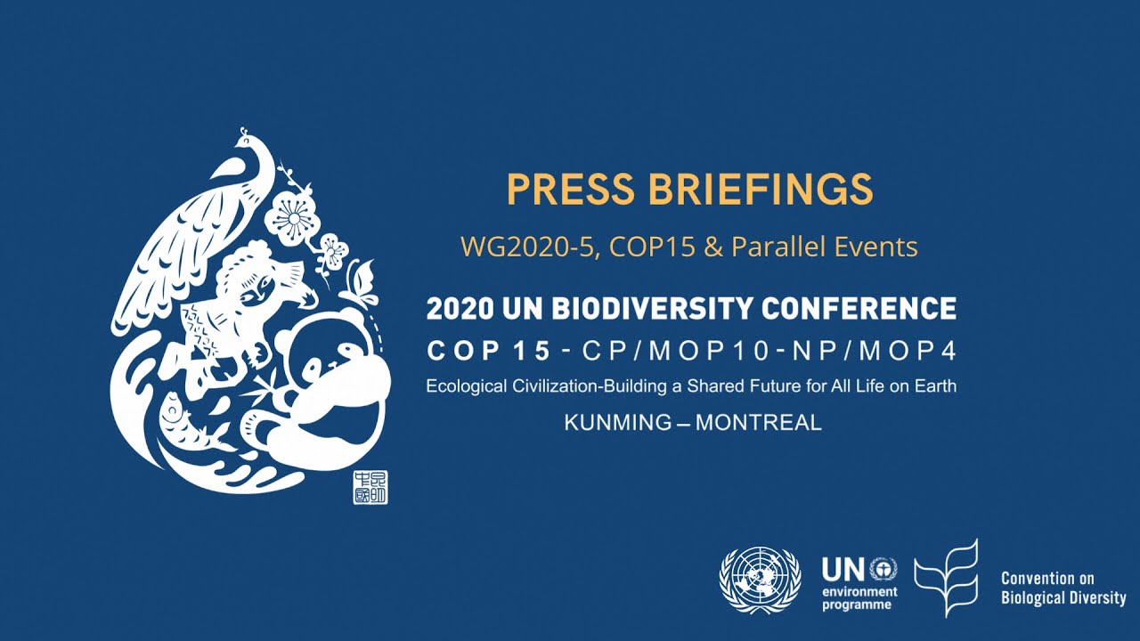 (Swedish) Press Conference by the Swedish Minister for Climate and the Environment - 18 Dec 2022