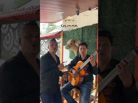 🇪🇨❤️ TORRO BARROSO ✔️🎵 #alexandergarcia #musica #bolivar #caluma  #GrupoMusicalOlmar #viralshorts