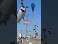 Jesolo Kite Festival 2025 Kiteflying Jesolo Italy