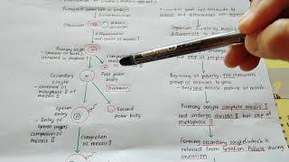 Chapter 9- Process of Oogenesis