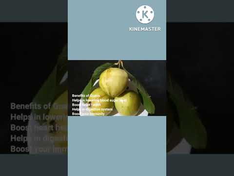 Benefits Of Guava #shorts#nazima#shortvideo