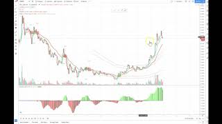 Real Live Profts in 24 hours using my trading strategy $200