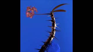 Flume  - Fantastic (Feat. Glass Animals)