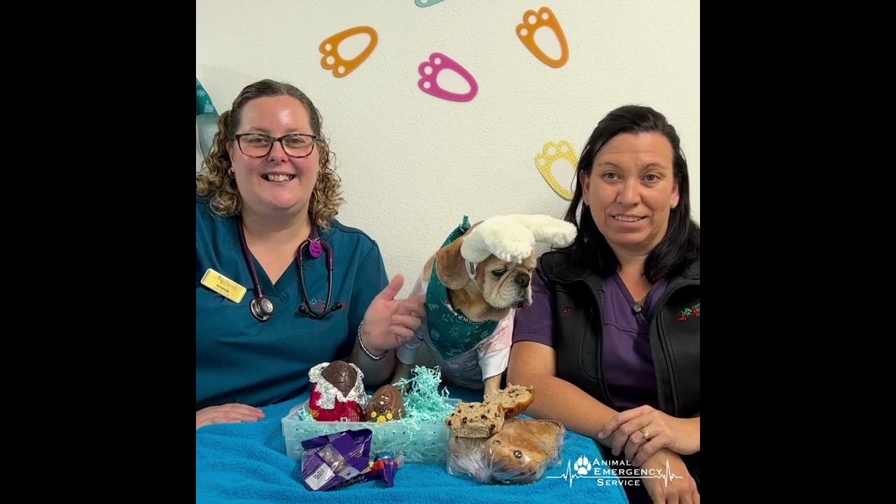 Easter Danger For Our Pets