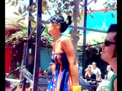 fiesteros murcianos cierre THC 2009 garden